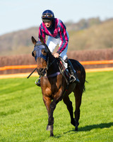 Race 6 - The Open Maiden Race (20 of 120).jpg
