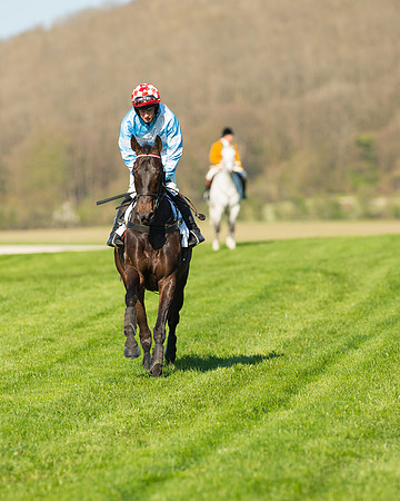 Race 6 - The Open Maiden Race (21 of 120).jpg
