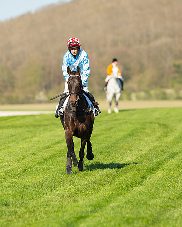 Race 6 - The Open Maiden Race (22 of 120).jpg