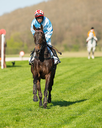 Race 6 - The Open Maiden Race (23 of 120).jpg