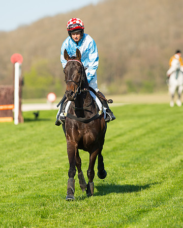 Race 6 - The Open Maiden Race (24 of 120).jpg