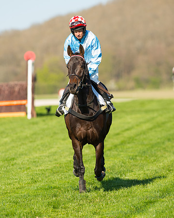 Race 6 - The Open Maiden Race (25 of 120).jpg