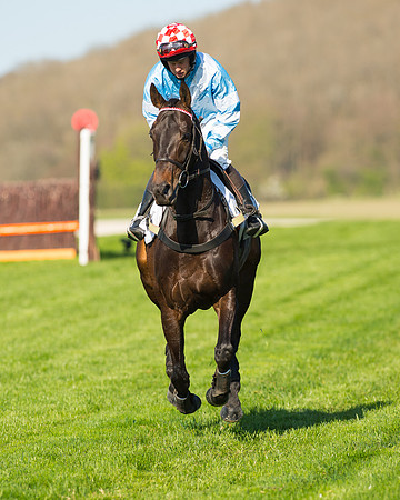 Race 6 - The Open Maiden Race (26 of 120).jpg
