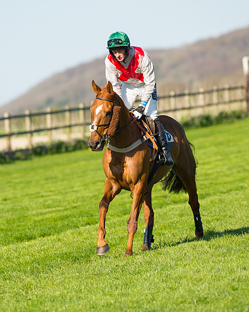 Race 6 - The Open Maiden Race (29 of 120).jpg