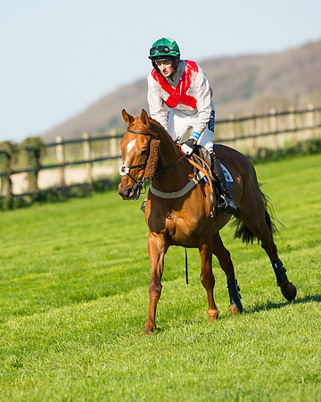 Race 6 - The Open Maiden Race (30 of 120).jpg