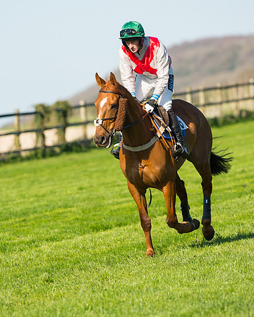 Race 6 - The Open Maiden Race (31 of 120).jpg