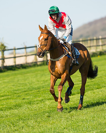 Race 6 - The Open Maiden Race (33 of 120).jpg
