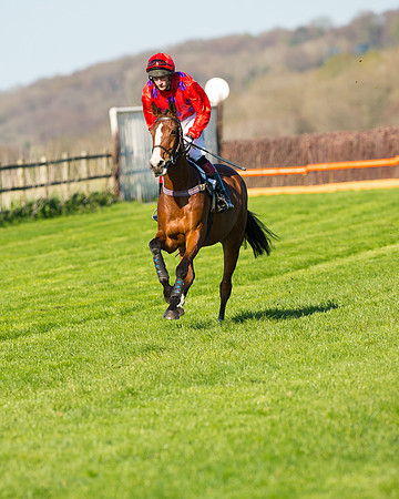 Race 6 - The Open Maiden Race (34 of 120).jpg