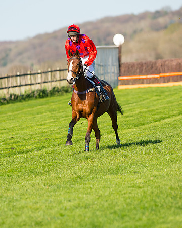 Race 6 - The Open Maiden Race (35 of 120).jpg