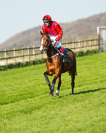 Race 6 - The Open Maiden Race (36 of 120).jpg