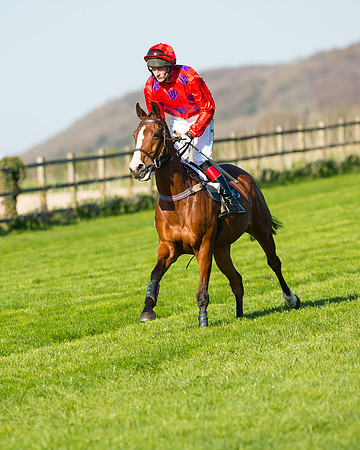 Race 6 - The Open Maiden Race (37 of 120).jpg