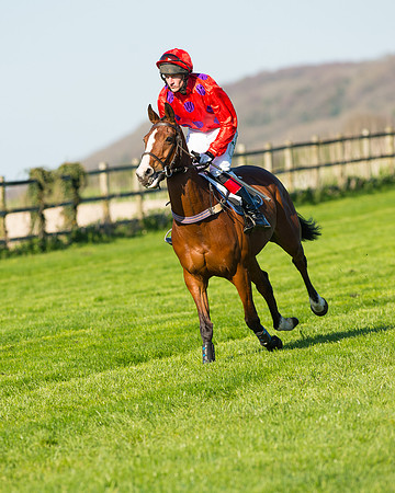Race 6 - The Open Maiden Race (38 of 120).jpg