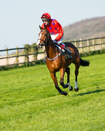 Race 6 - The Open Maiden Race (39 of 120).jpg