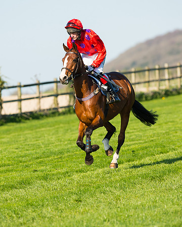 Race 6 - The Open Maiden Race (40 of 120).jpg