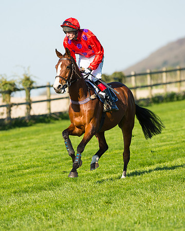 Race 6 - The Open Maiden Race (41 of 120).jpg