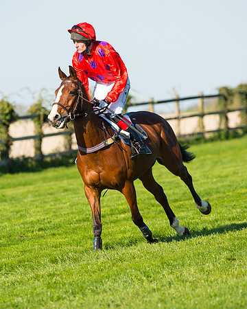 Race 6 - The Open Maiden Race (42 of 120).jpg