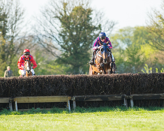 Race 6 - The Open Maiden Race (43 of 120).jpg