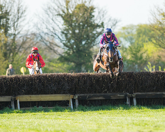 Race 6 - The Open Maiden Race (44 of 120).jpg