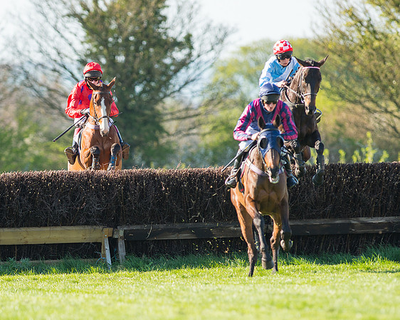 Race 6 - The Open Maiden Race (47 of 120).jpg