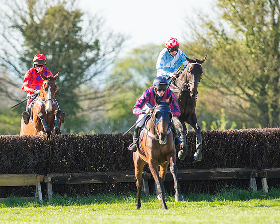 Race 6 - The Open Maiden Race (48 of 120).jpg