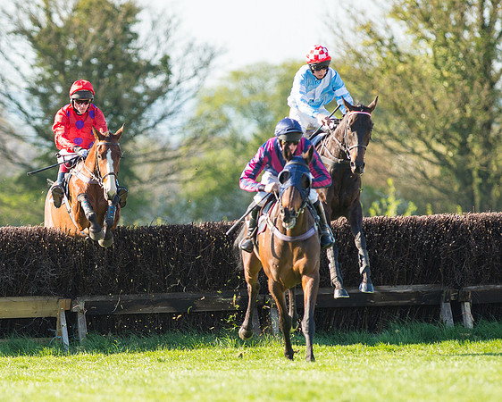 Race 6 - The Open Maiden Race (49 of 120).jpg