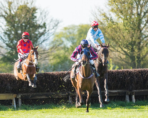 Race 6 - The Open Maiden Race (50 of 120).jpg