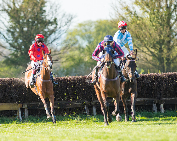 Race 6 - The Open Maiden Race (51 of 120).jpg