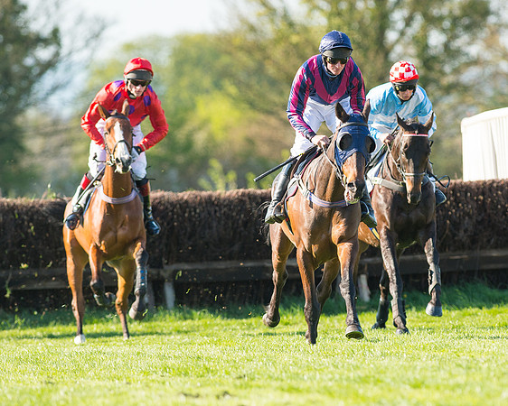 Race 6 - The Open Maiden Race (52 of 120).jpg