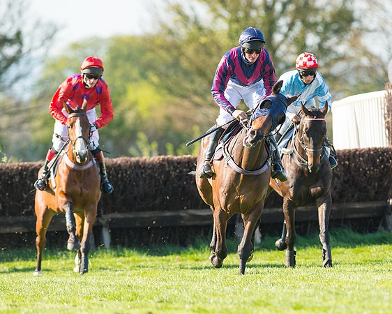 Race 6 - The Open Maiden Race (53 of 120).jpg