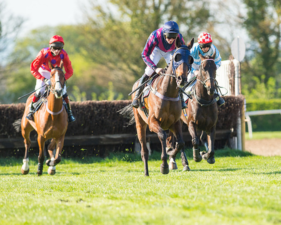 Race 6 - The Open Maiden Race (54 of 120).jpg