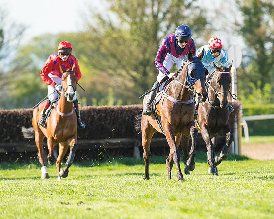 Race 6 - The Open Maiden Race (55 of 120).jpg