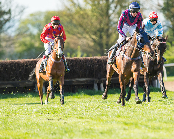 Race 6 - The Open Maiden Race (56 of 120).jpg
