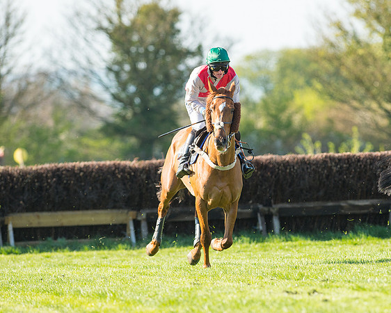 Race 6 - The Open Maiden Race (57 of 120).jpg