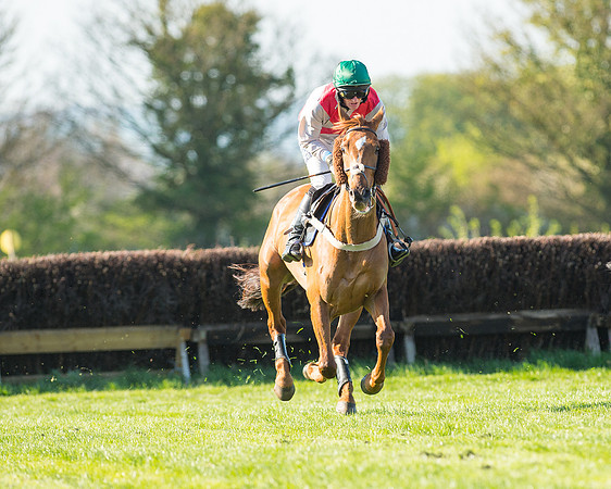 Race 6 - The Open Maiden Race (58 of 120).jpg