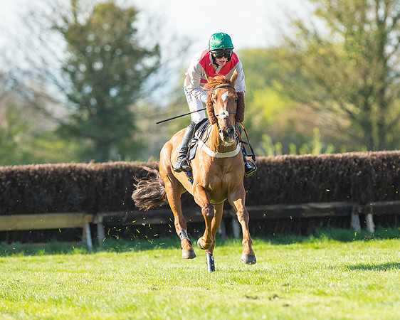 Race 6 - The Open Maiden Race (59 of 120).jpg