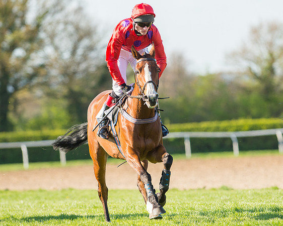 Race 6 - The Open Maiden Race (60 of 120).jpg
