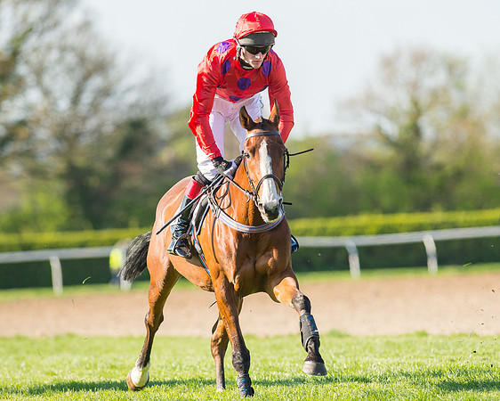 Race 6 - The Open Maiden Race (61 of 120).jpg