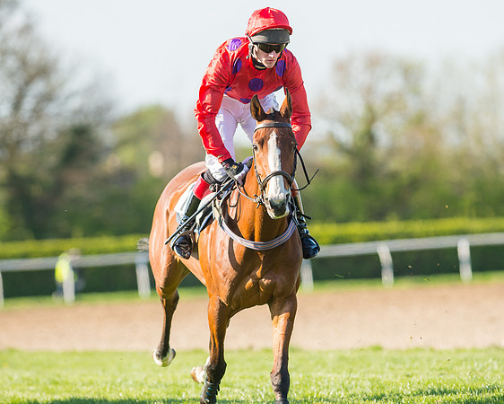 Race 6 - The Open Maiden Race (62 of 120).jpg