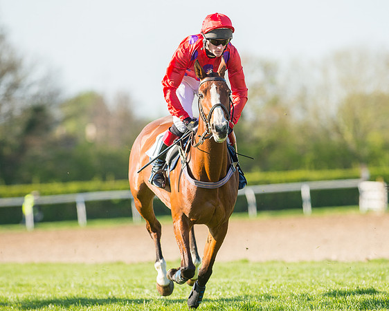 Race 6 - The Open Maiden Race (63 of 120).jpg