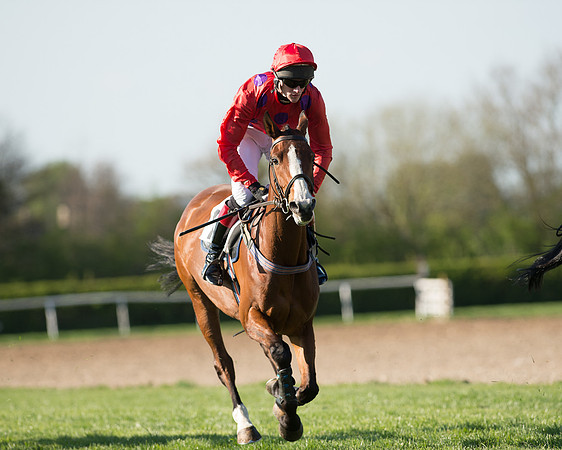 Race 6 - The Open Maiden Race (64 of 120).jpg