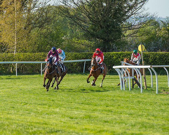 Race 6 - The Open Maiden Race (65 of 120).jpg