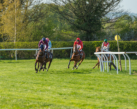 Race 6 - The Open Maiden Race (66 of 120).jpg