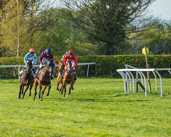 Race 6 - The Open Maiden Race (67 of 120).jpg