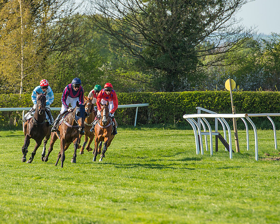 Race 6 - The Open Maiden Race (68 of 120).jpg