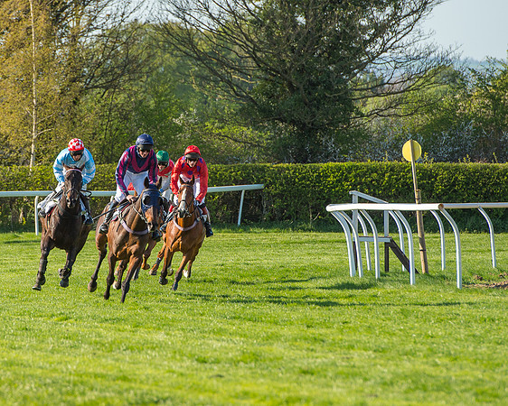 Race 6 - The Open Maiden Race (69 of 120).jpg