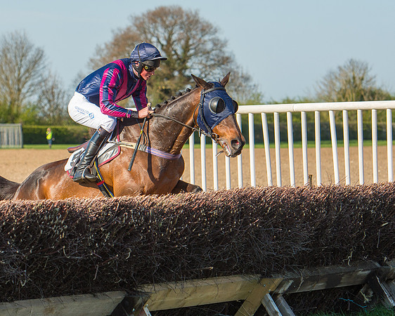 Race 6 - The Open Maiden Race (70 of 120).jpg