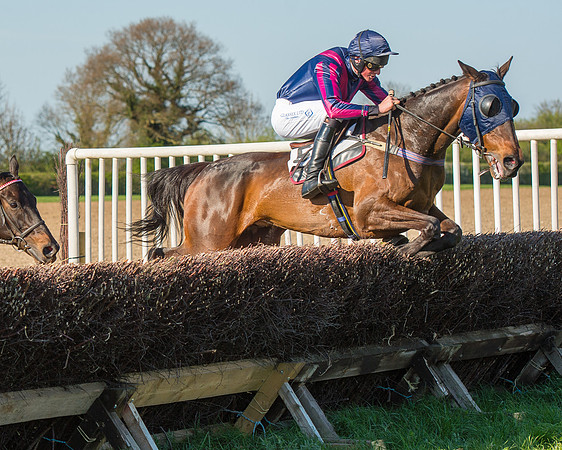Race 6 - The Open Maiden Race (72 of 120).jpg