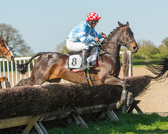 Race 6 - The Open Maiden Race (75 of 120).jpg
