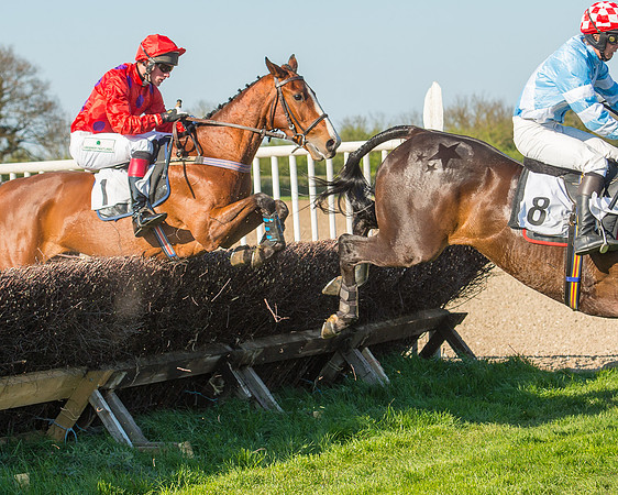 Race 6 - The Open Maiden Race (77 of 120).jpg