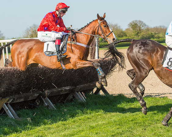 Race 6 - The Open Maiden Race (78 of 120).jpg